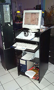 skinselect4.jpg - 27337 Bytes